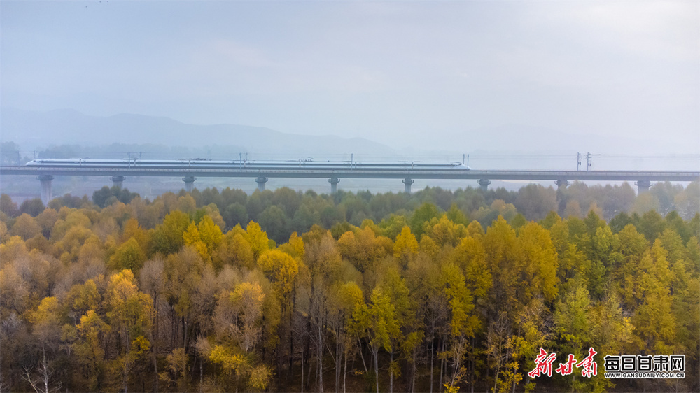 10月12日，在兰张高铁兰武段，列车穿梭在武威天祝县斑斓秋色中。
