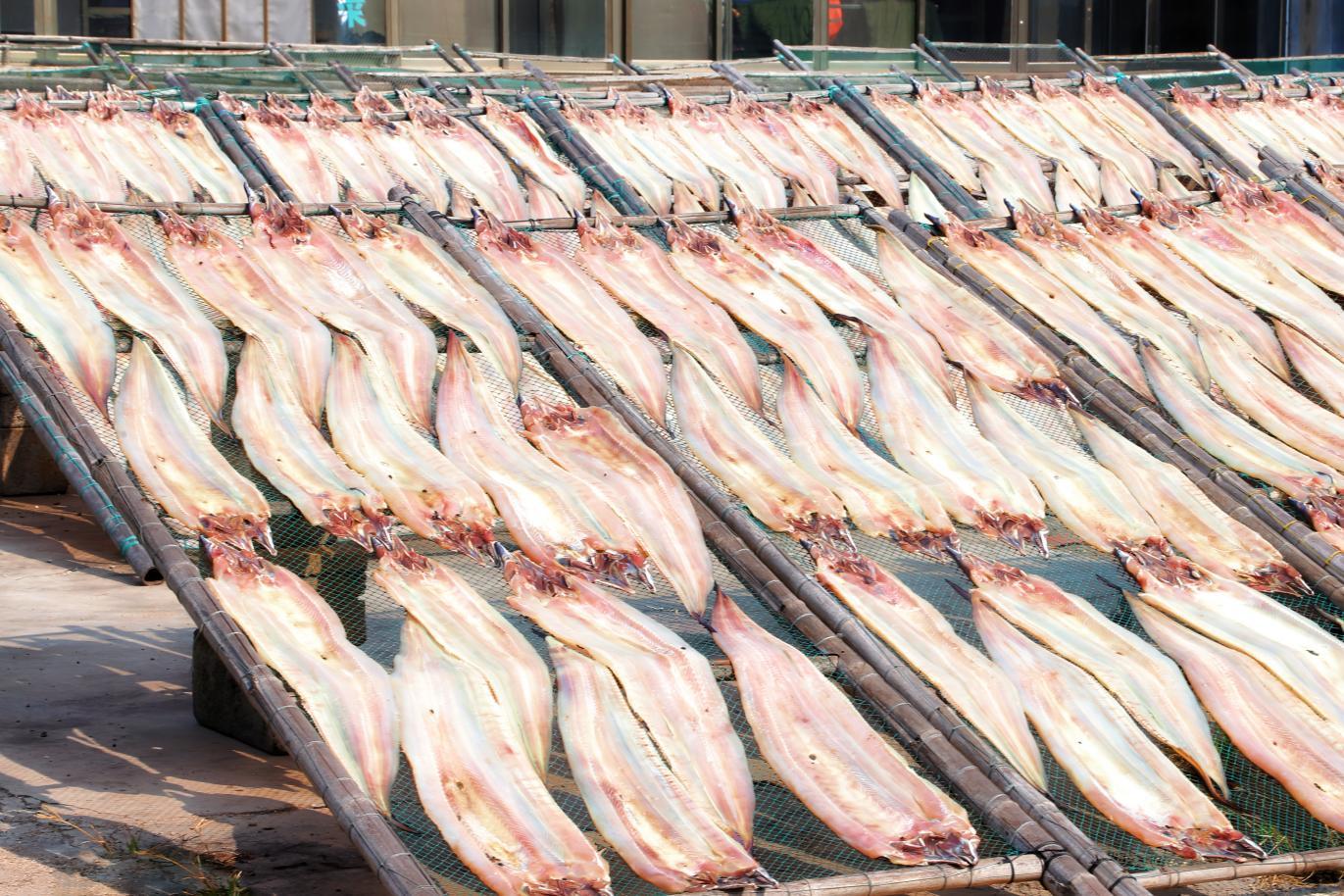 10月15日,岚山区安东卫街道,阳光下整整齐齐的鱼干,晶莹透亮,鲜气十足。赵文钰 摄