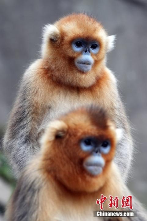 中新社记者　毛建军　摄