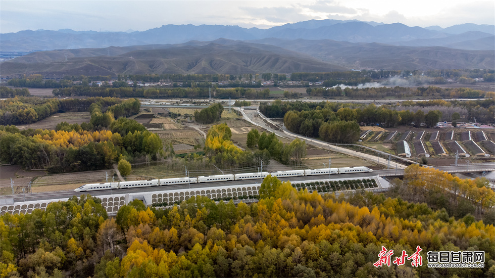 10月12日，在兰张高铁兰武段，列车穿梭在武威天祝县斑斓秋色中。