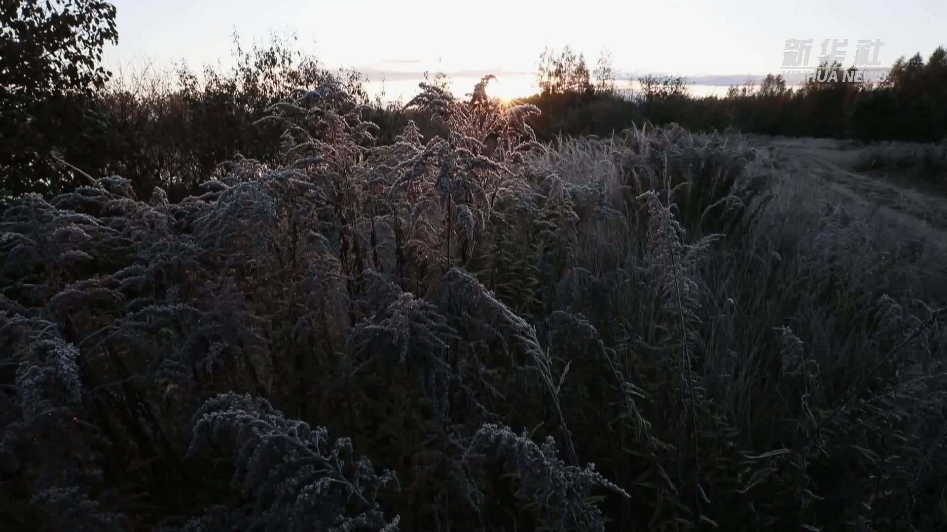 白俄罗斯迎初霜