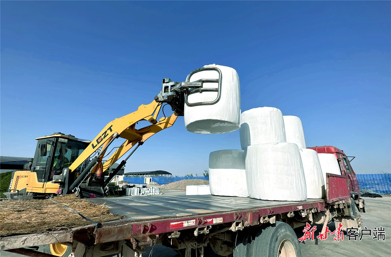 装运“草罐头” 新甘肃·甘肃日报记者 金奉乾 摄