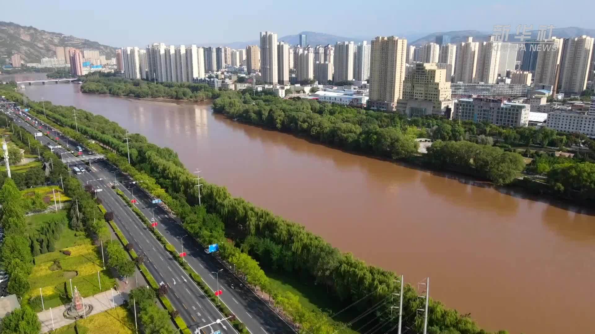 生态西部丨邂逅黄河之滨的浪漫