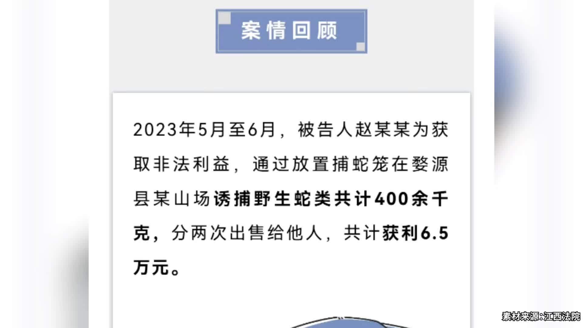 男子诱捕野生王锦蛇400余千克获利6.5万,被判刑8个月_凤凰网视频_凤凰网