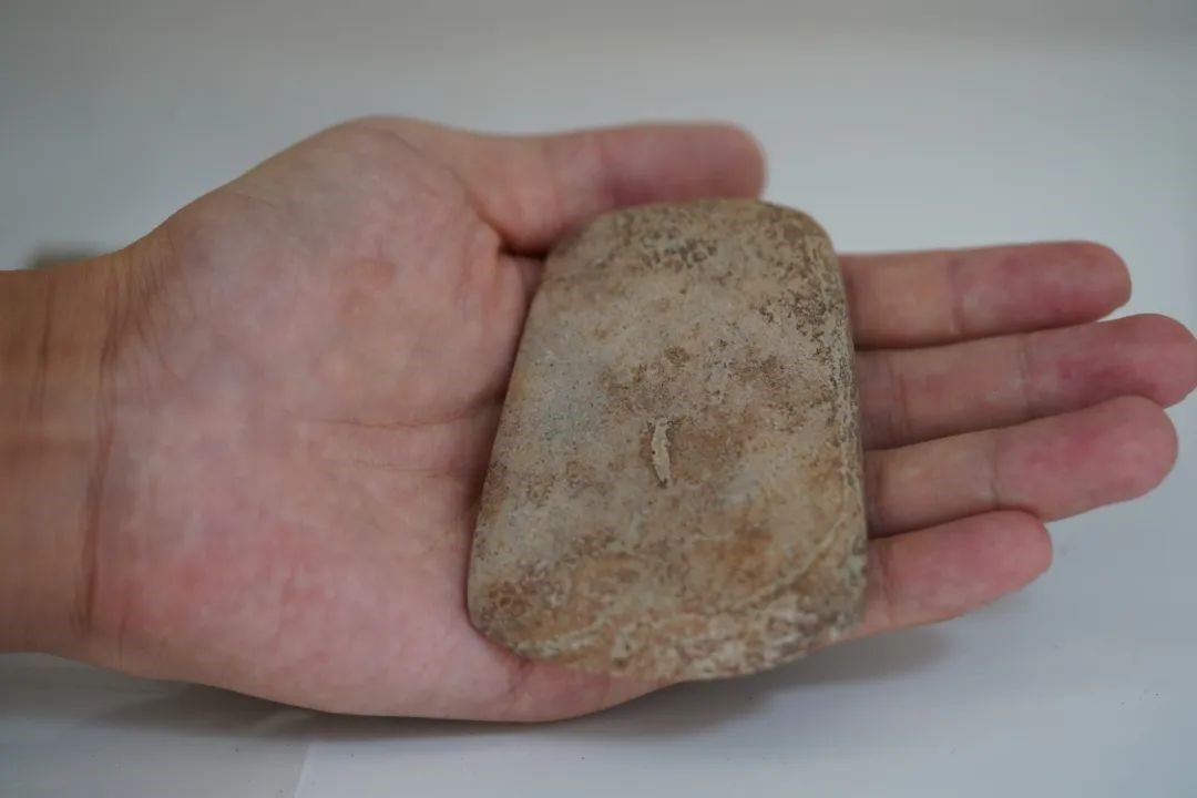 南盘石遗址出土遗物。