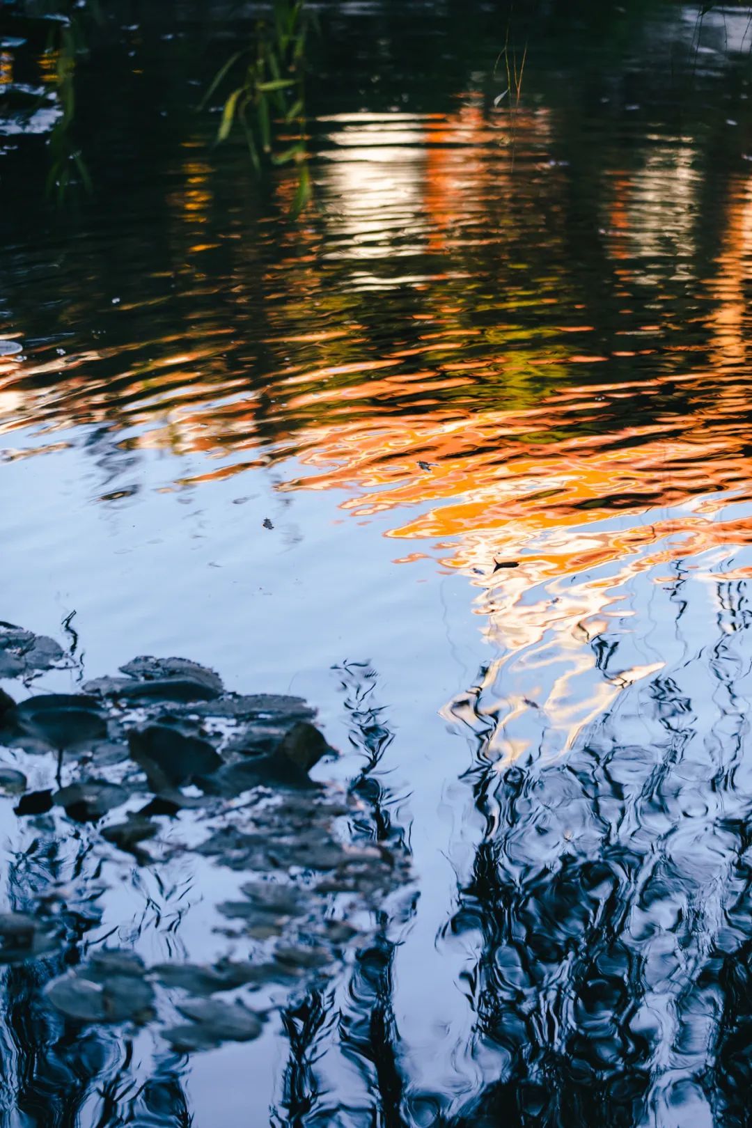 张其成教授带你涨知识　get《黄帝内经》中的养生精髓