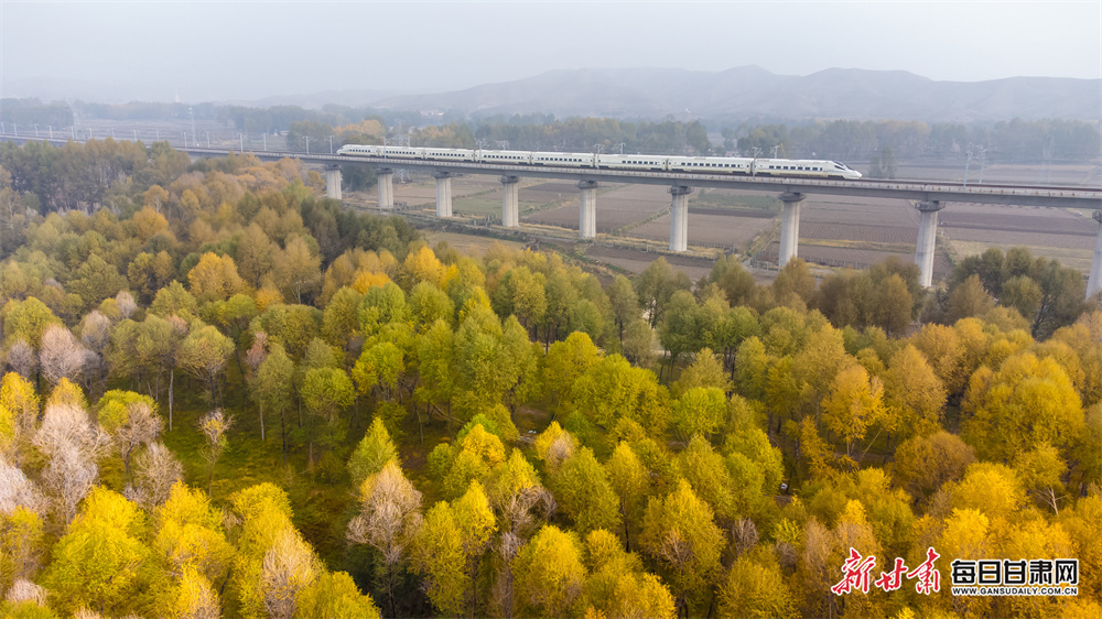 10月12日，在兰张高铁兰武段，列车穿梭在武威天祝县斑斓秋色中。