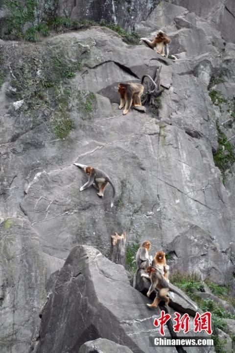 中新社记者　毛建军　摄