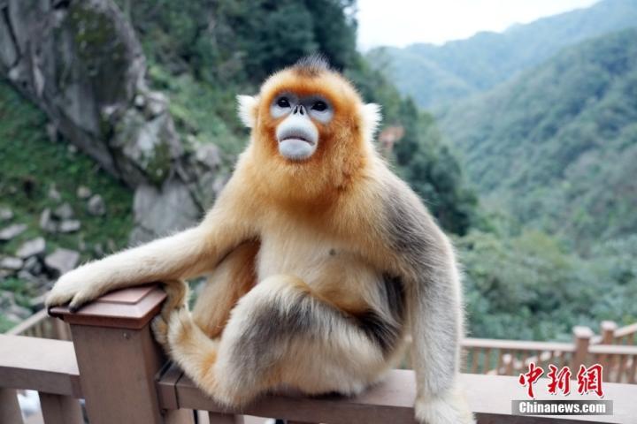 中新社记者　毛建军　摄