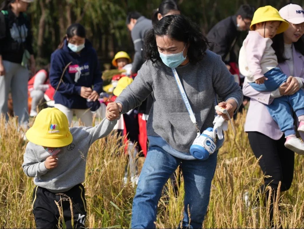 全国十佳！盐都上榜的是……