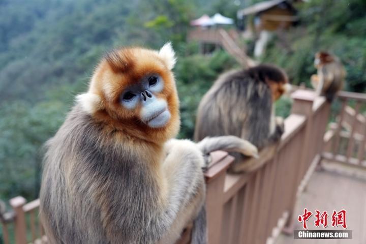 中新社记者　毛建军　摄