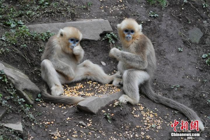 中新社记者　毛建军　摄