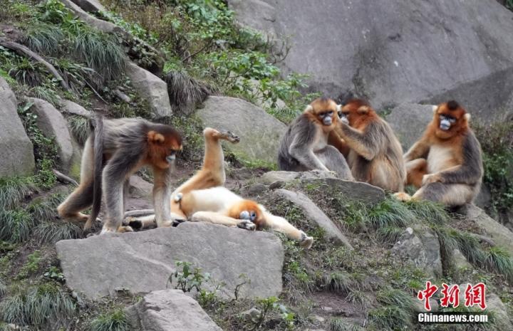 中新社记者　毛建军　摄