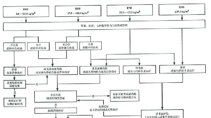 剛剛！國傢衛健委發佈最新《肥胖癥診療指南》