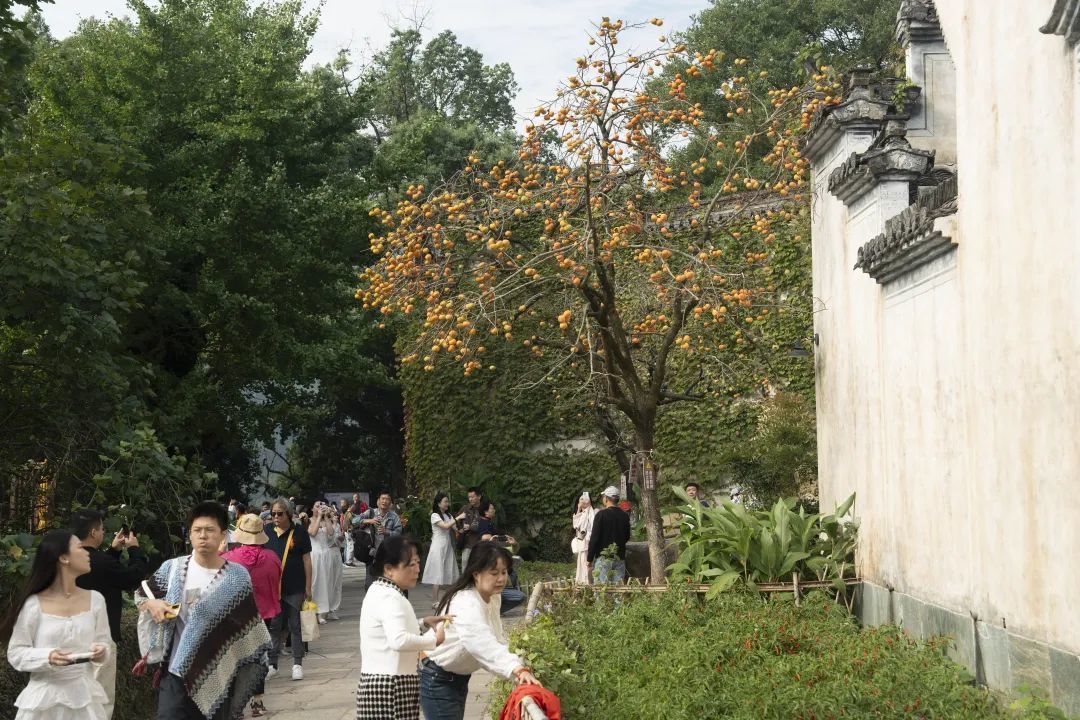 圖為10月11日實拍