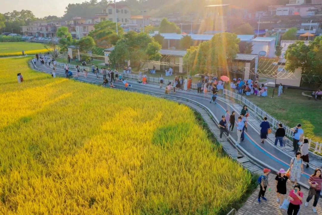 大塘面村