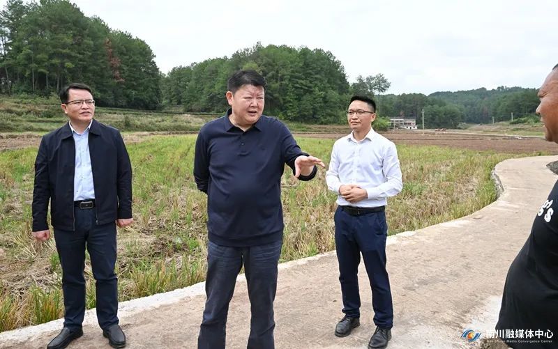 向业顺在冷水关镇调研。