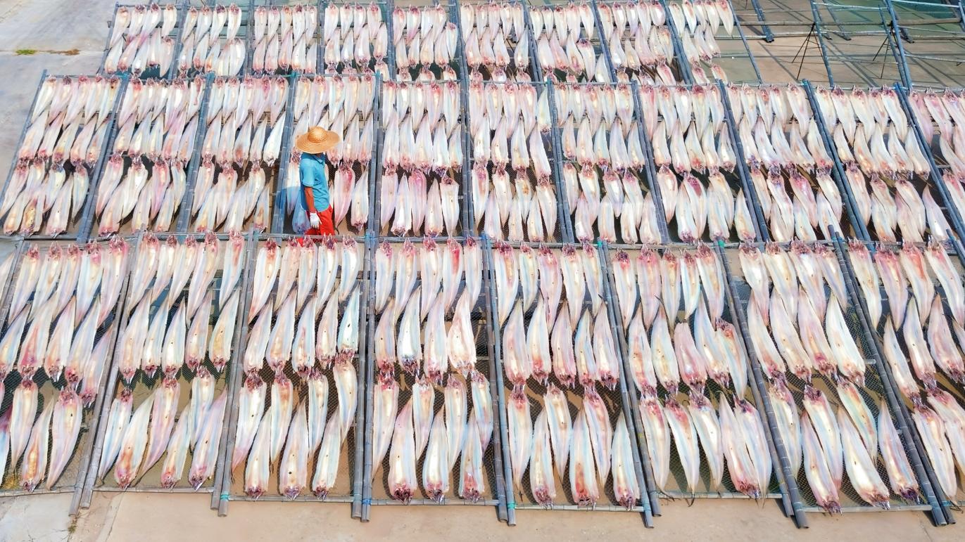 10月15日,岚山区安东卫街道,一排排晒架上整齐摆放着处理好的鱼干。赵文钰 摄