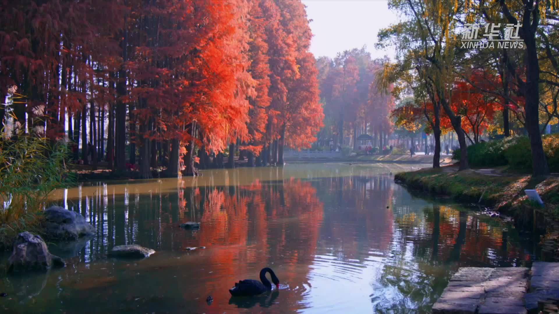 来无锡鼋头渚邂逅秋日美景