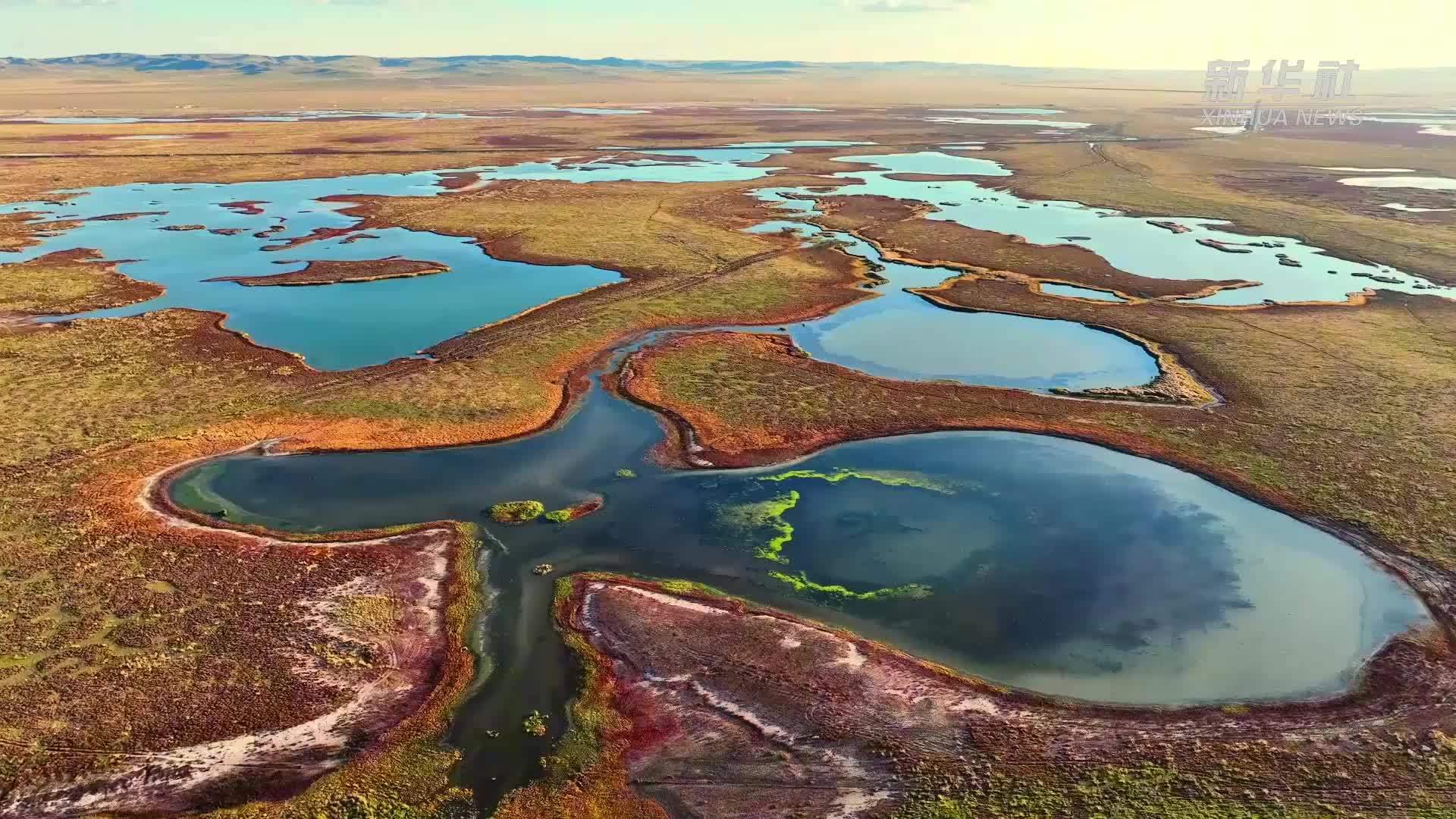 千城胜景｜东乌珠穆沁旗：停歇候鸟戏秋水