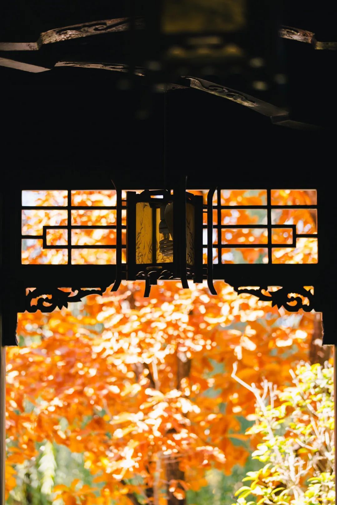 张其成教授带你涨知识　get《黄帝内经》中的养生精髓