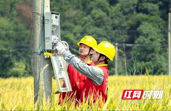 服务乡村振兴丨湖南充足电能让秋粮“颗粒归仓”