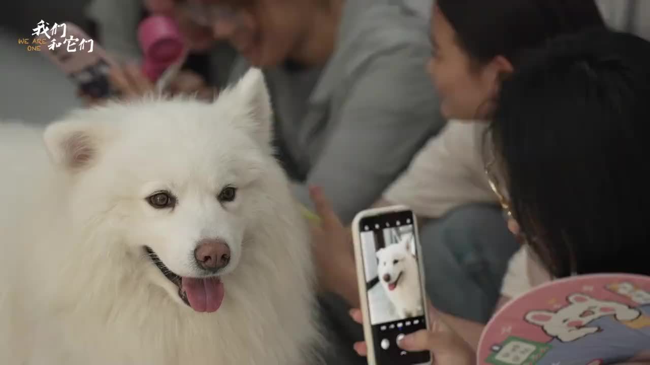 宠物犬也能当大学助教？河南高校最抢手助教有点萌，上课也爱睡觉