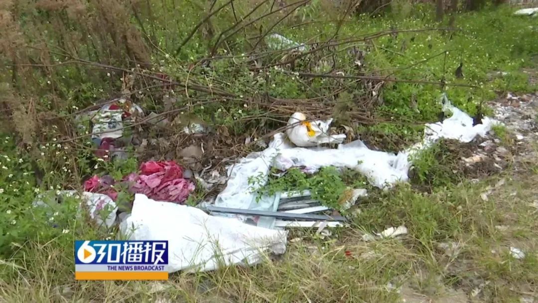 赣州章贡区黄屋坪路一停车场成垃圾场 杂草丛生影响市容市貌