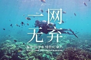 一网无弃