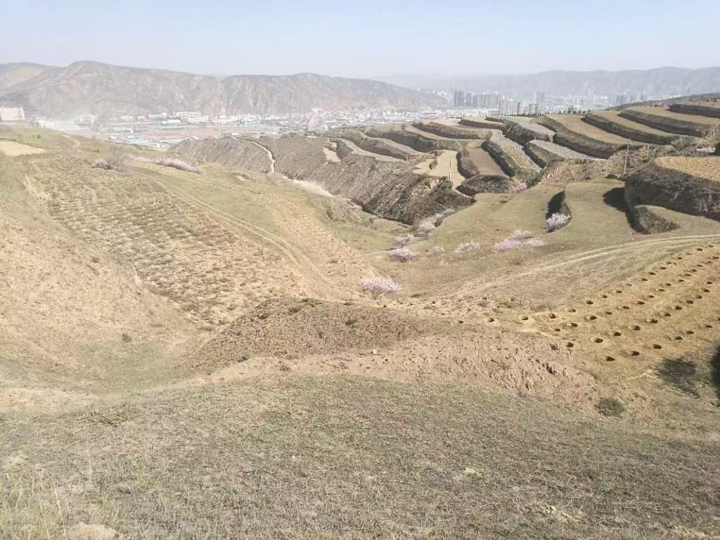 这是2017年定西市安定区凤翔镇李家岔村山坡地　新华社发