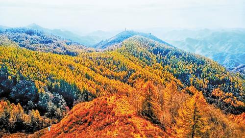 张家口宣化区:全面落实林(草)长制 加快绿色发展