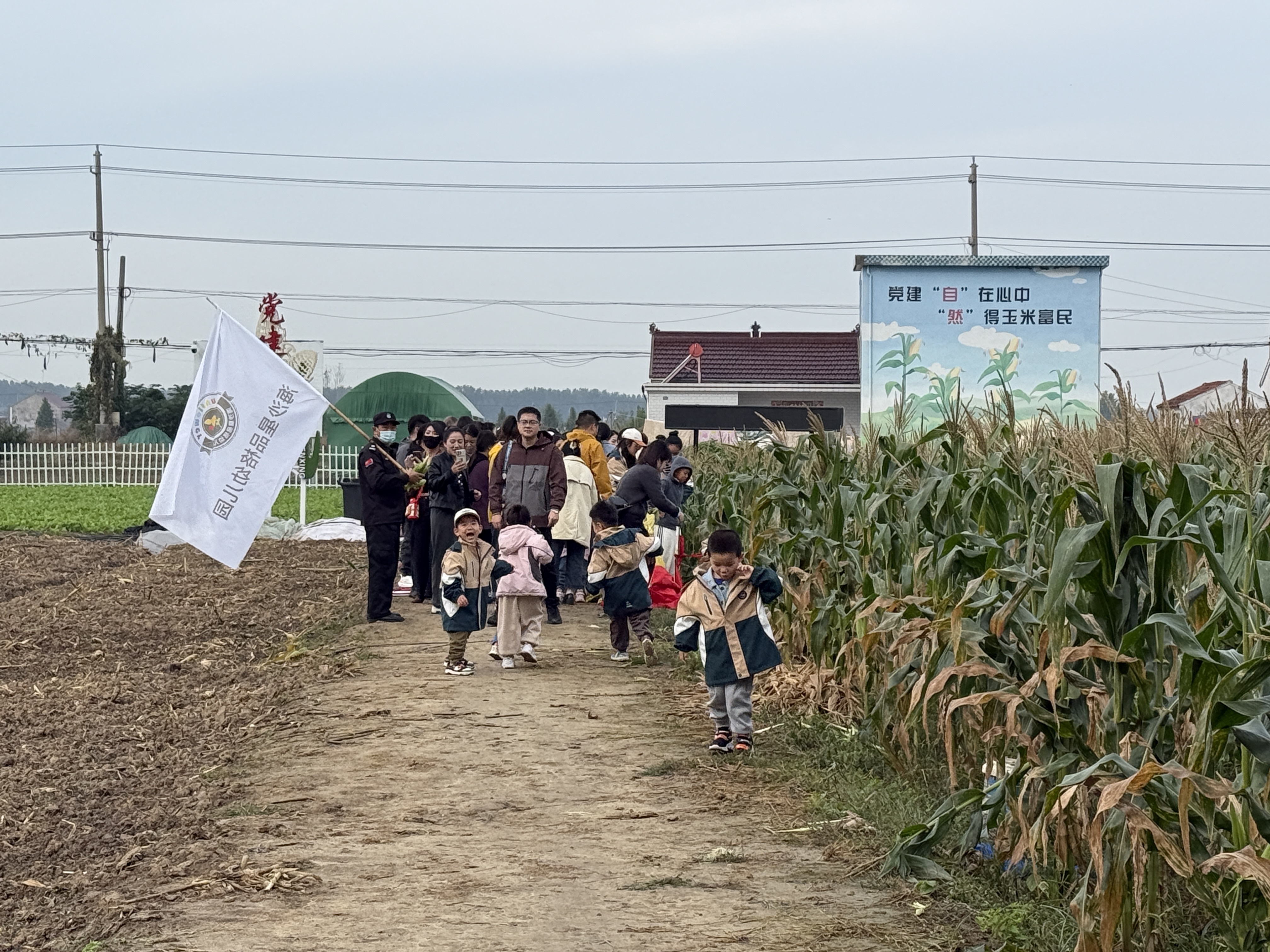 亭湖区南洋镇：探索秋日奥秘 启迪智慧之旅