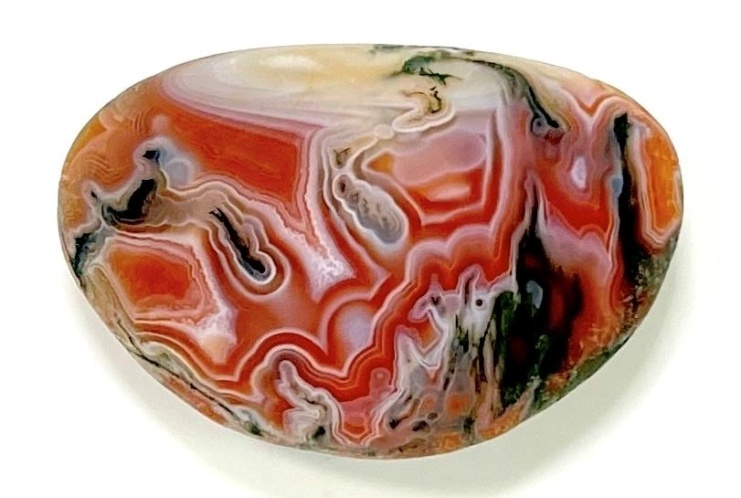 尹石藏石《祥瑞图》