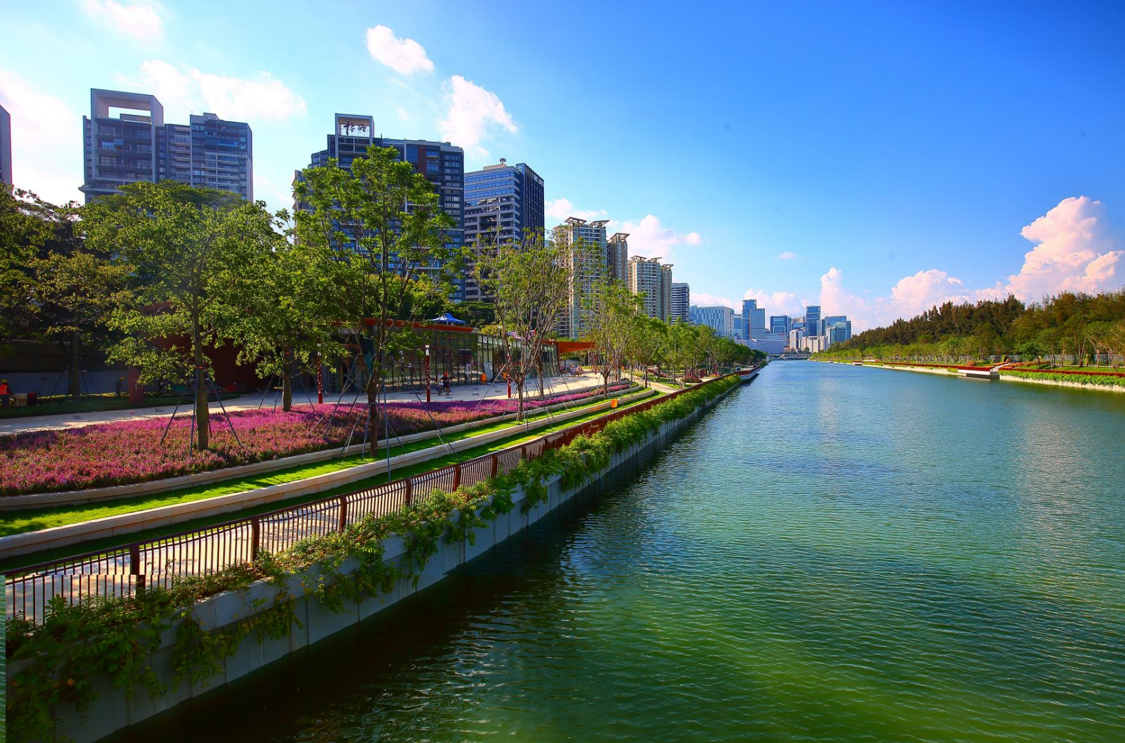 大沙河生态长廊 本文图片来源：深圳市南山区委宣传部