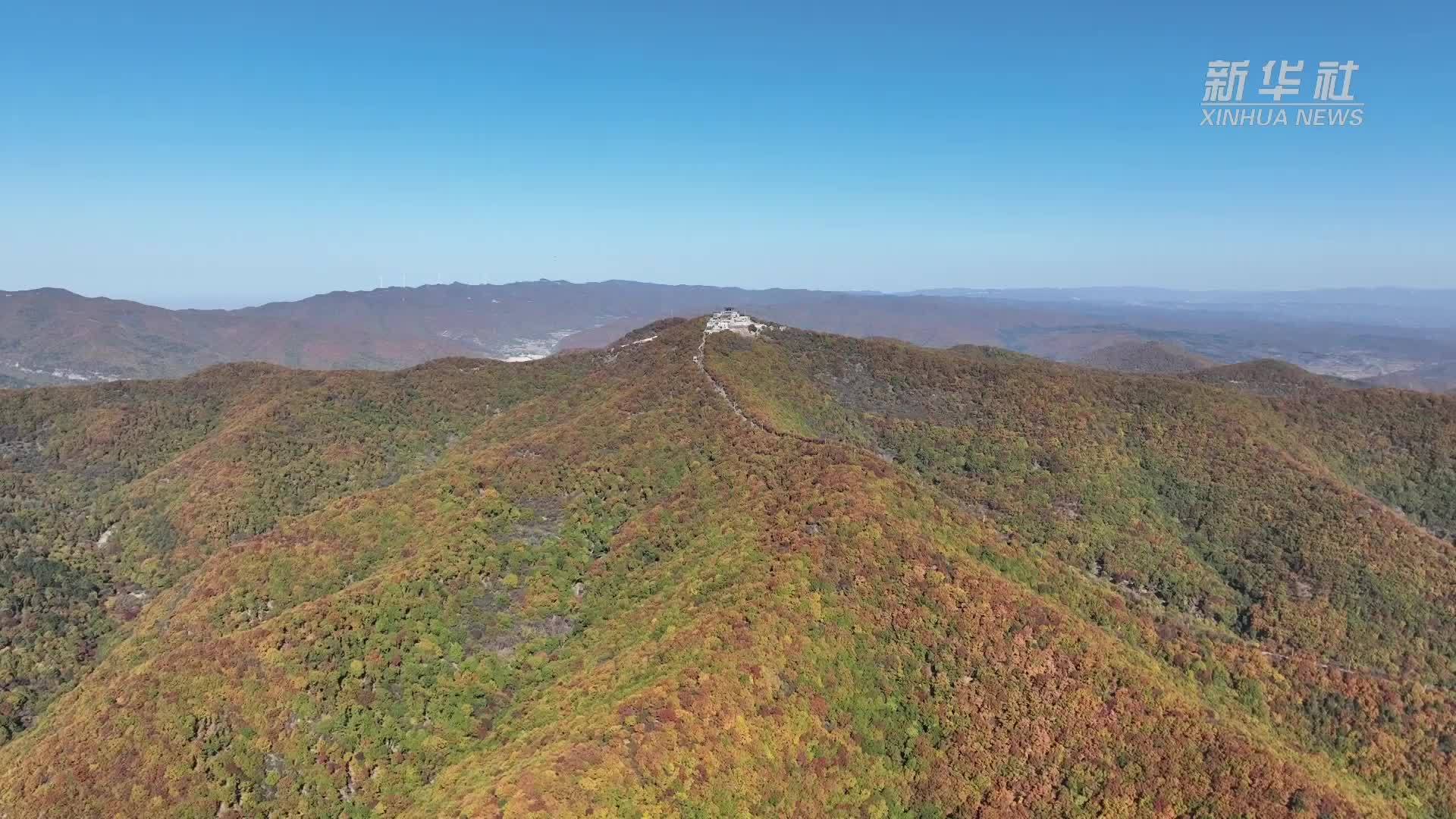 山西汾西：层林尽染秋意浓 漫山红叶美如画