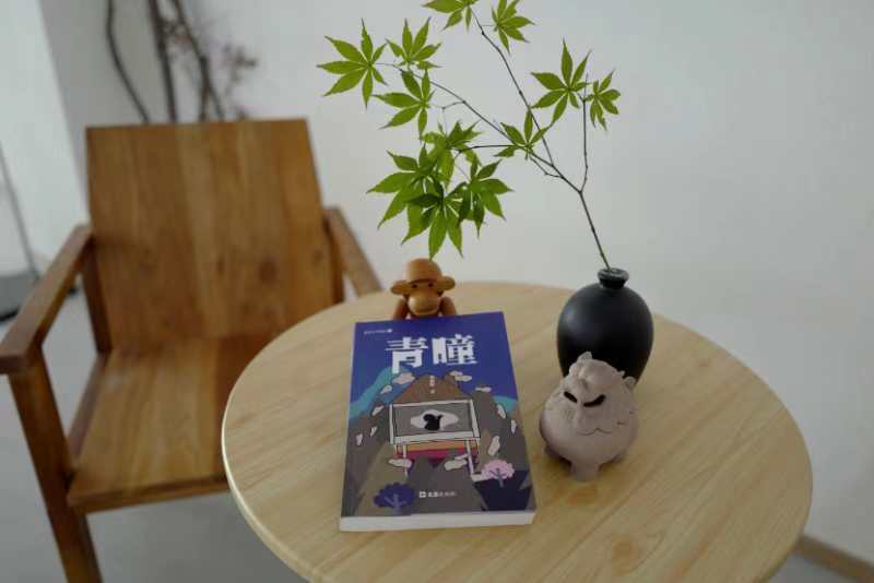 衢州开化籍作家小说《青瞳》出版发行