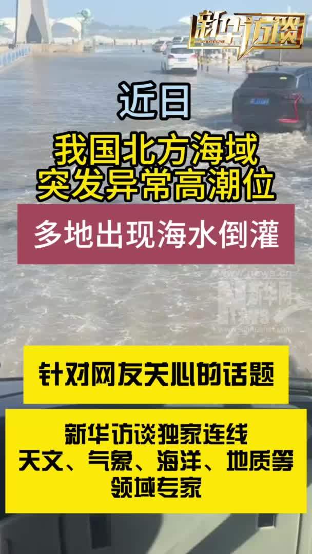 新华访谈|四位专家“会诊”海水倒灌