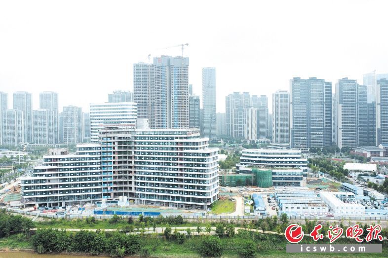 　　今后，市场主体在长沙工程建设招标投标、政府采购交易中，仅凭电子营业执照即可一键扫码登录交易平台，办理相关业务。王志伟 摄