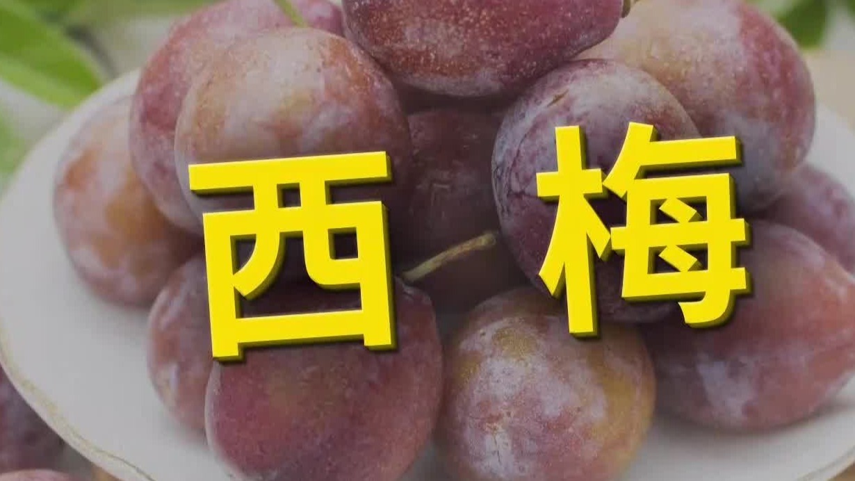 一天吃四颗西梅梅干，就能预防骨质疏松，什么原因？