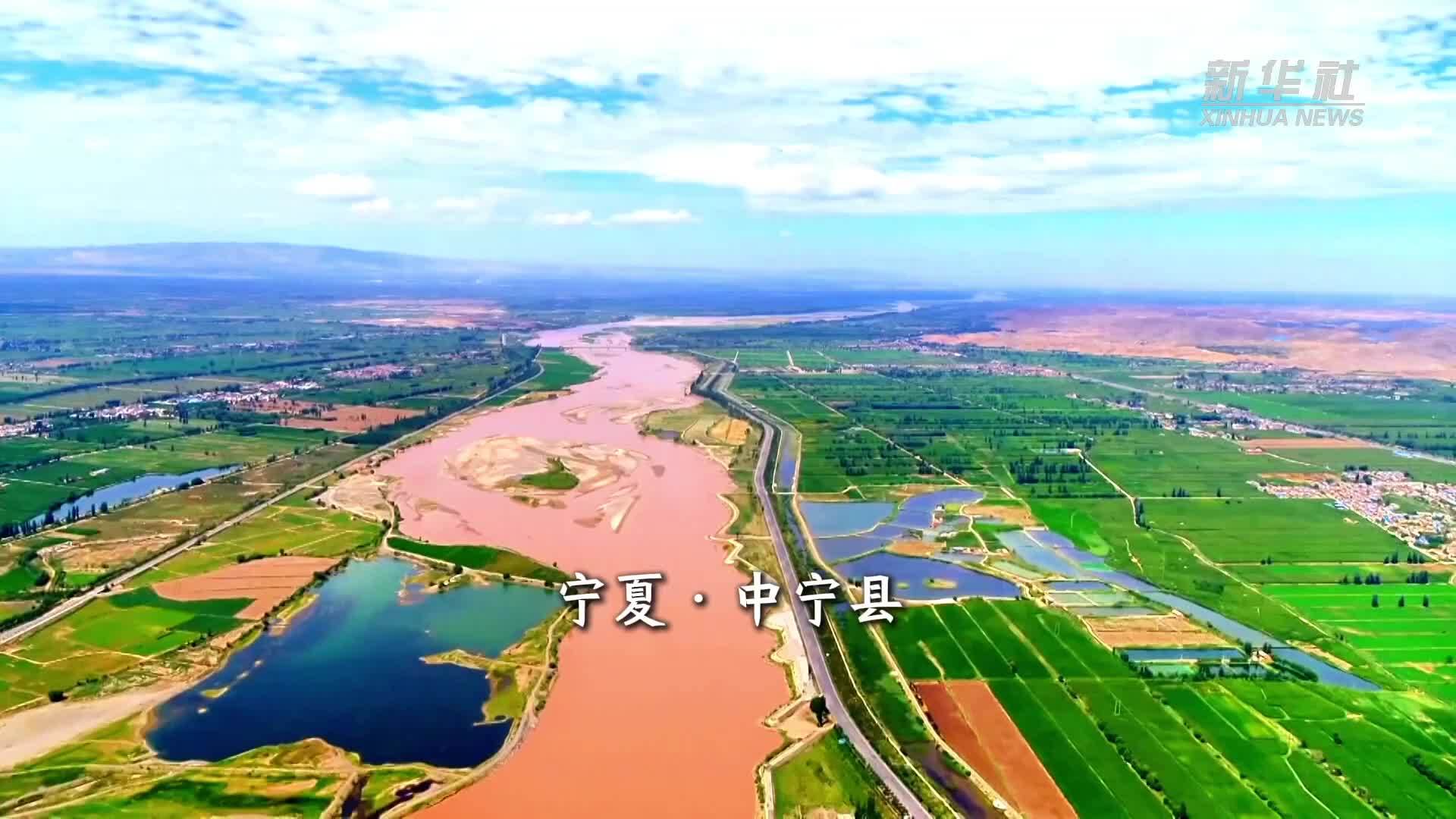 蒿子面：是舌尖记忆 也是味觉名片