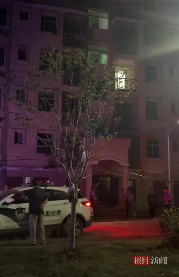 村中停着多辆警车