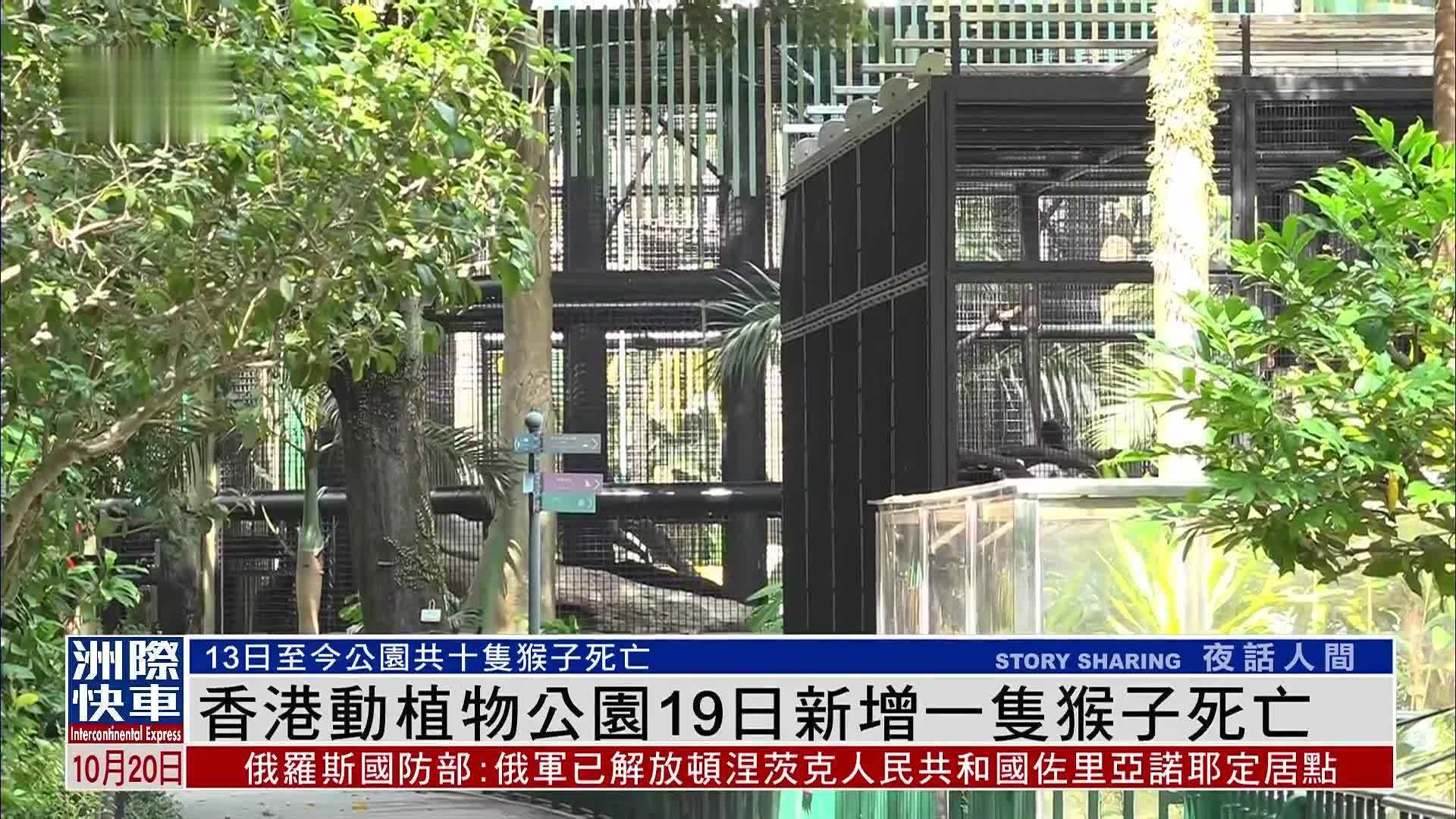 香港动植物公园19日新增一只猴子死亡