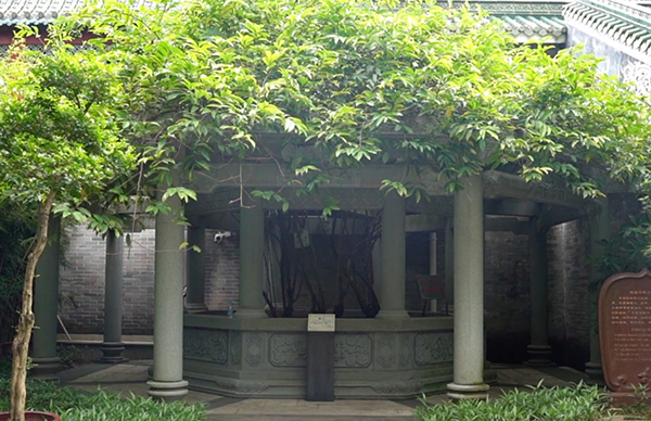 藏在寺庙里的“留洋画”——广州海幢寺寻宝记