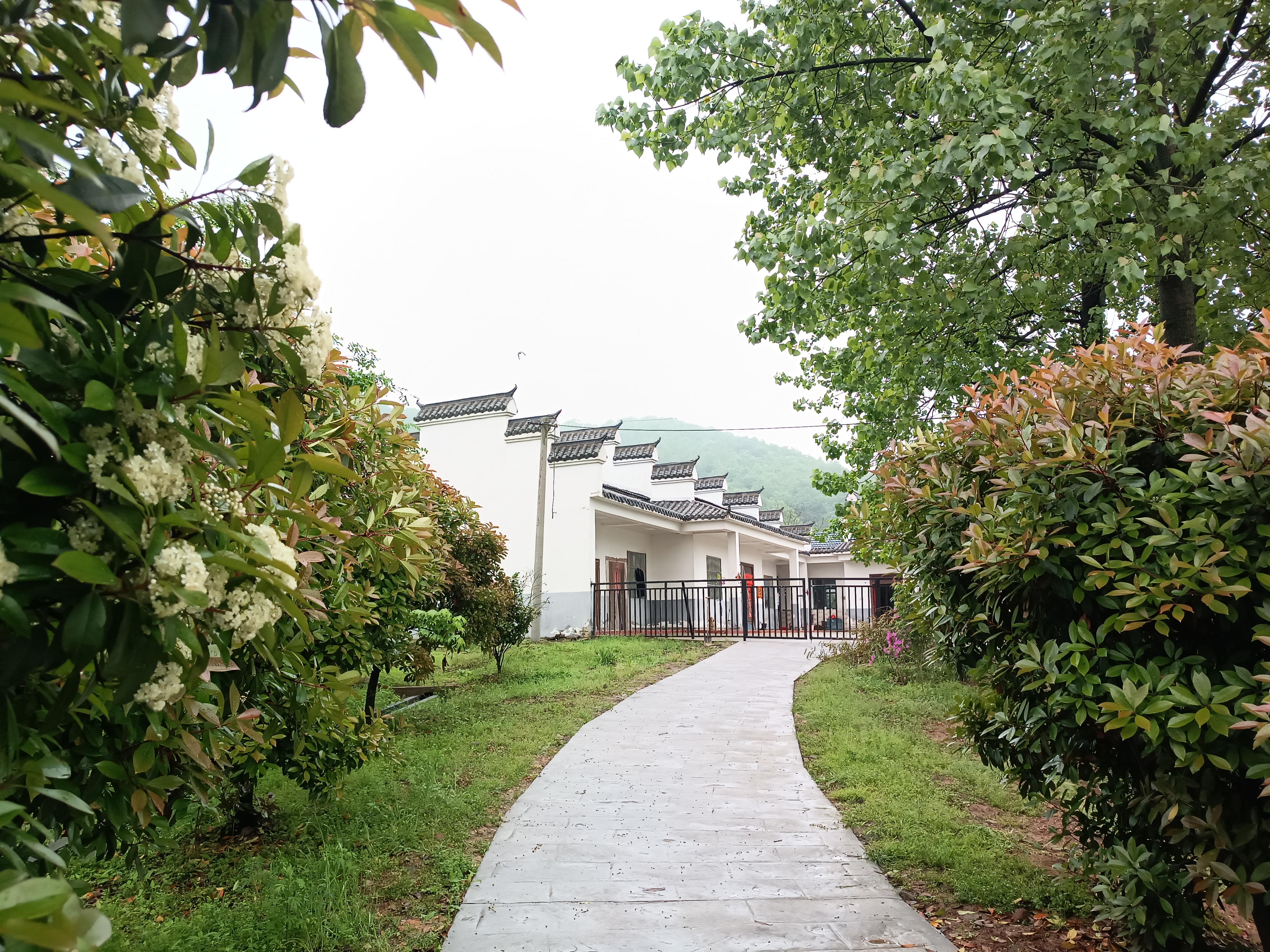 示范户家中庭院一角