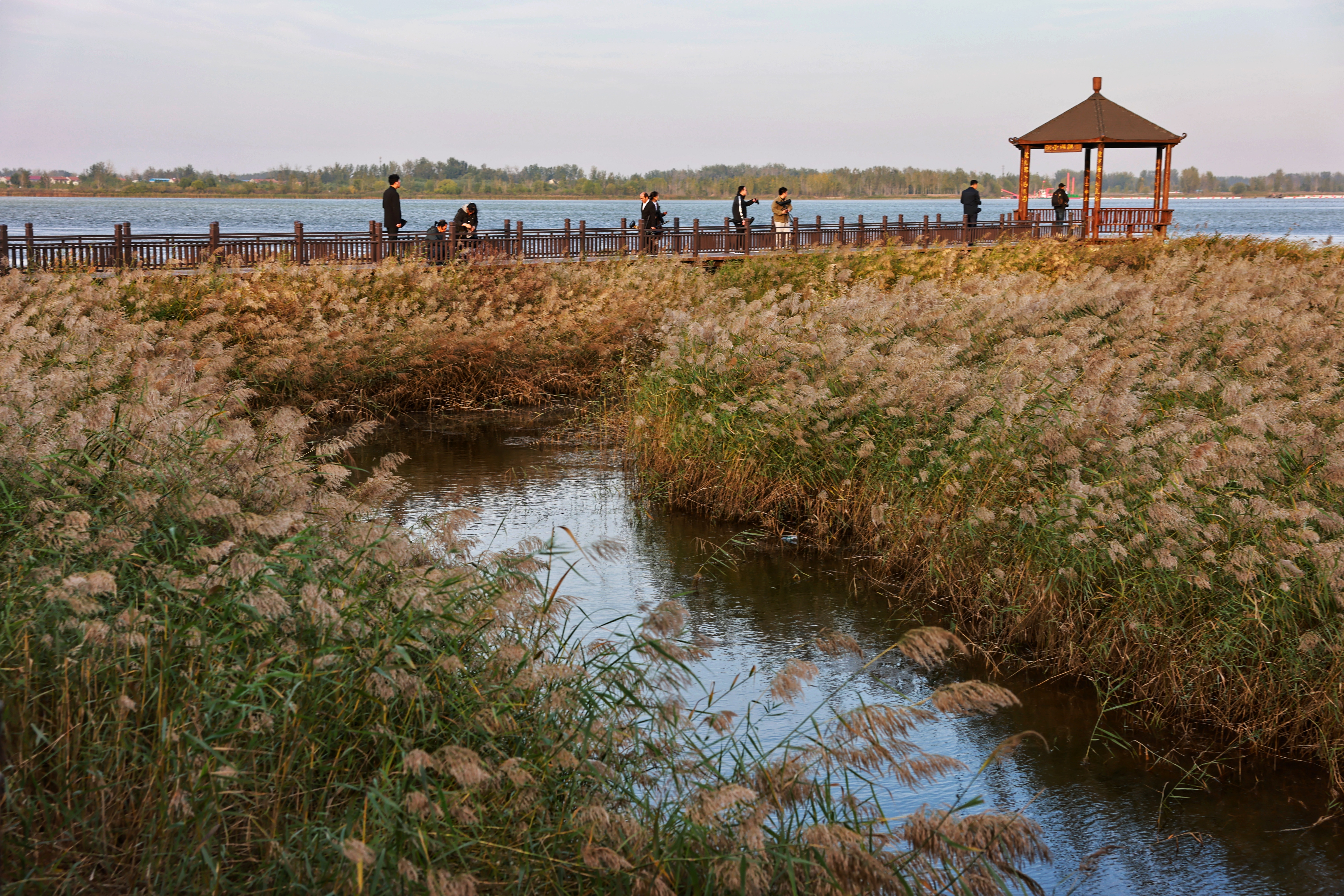 “客从河洛来 豫粤一家亲”豫粤两省网红走进“故道明珠”民权县
