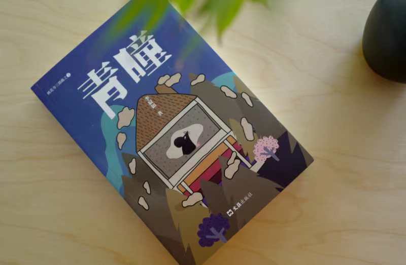 衢州开化籍作家小说《青瞳》出版发行