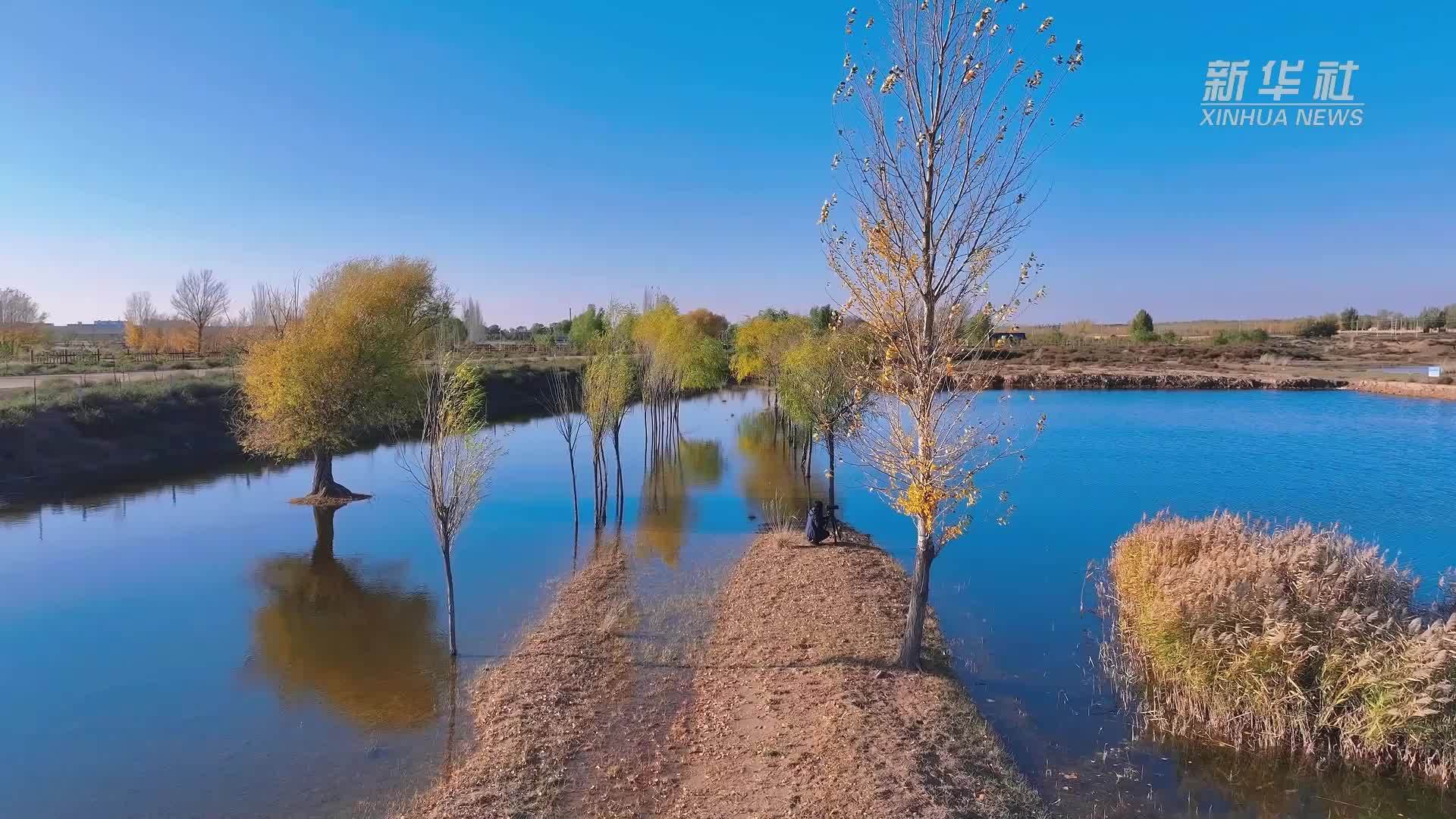 千城胜景｜内蒙古杭锦旗：候鸟南飞