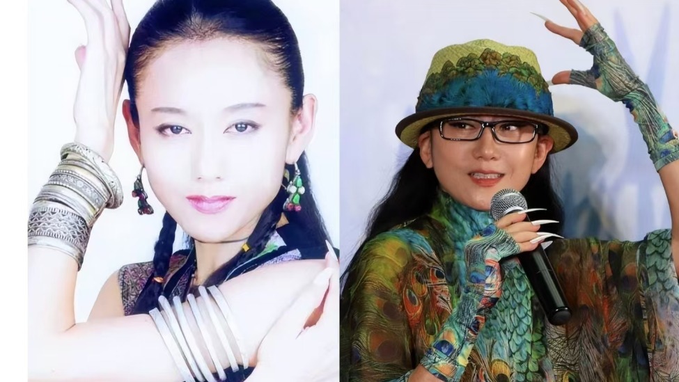 与杨丽萍离婚多年后，前夫刘淳晴毅然回到身边，无儿无女也无妨封面图