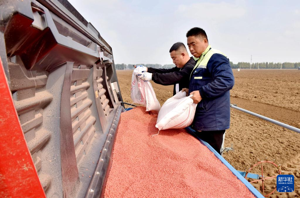 10月21日，在河北省邢台市南和区阎里乡阎里村，农民向播种机添加小麦种子。