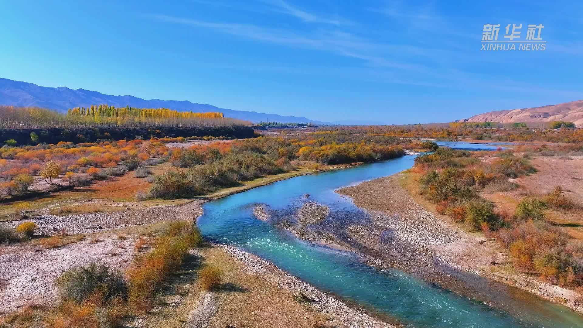 新疆特克斯 湿地秋景美如画